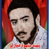 مشهود عمارلو.jpg